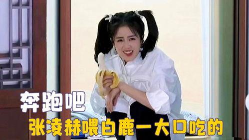 娱乐吃瓜酱白鹿,娱乐吃瓜酱的甜蜜蜕变之旅